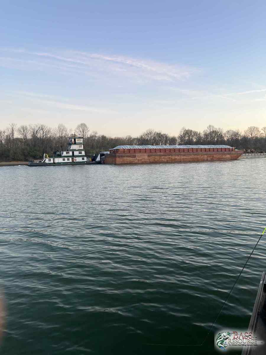 large.IMG_1574.jpeg