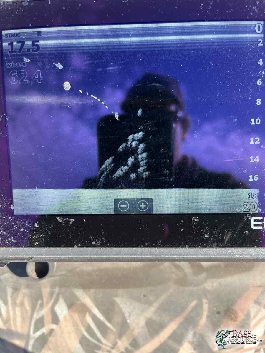 large.IMG_1588.jpeg