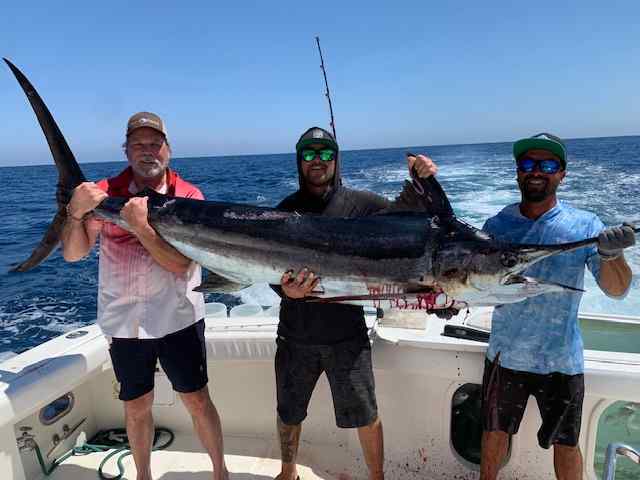 marlinMarch2025.jpg.cdeffd05b12bc9c4829d87b672dc0a67.jpg