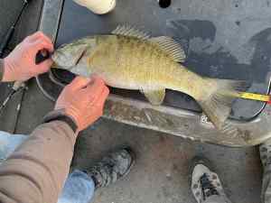 IMG_0120.jpeg