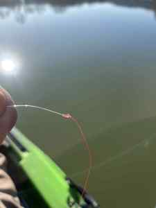 IMG_1180.jpeg