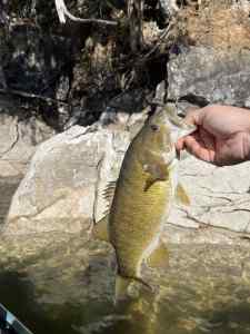 IMG_1185.jpeg