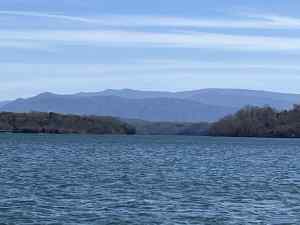 IMG_1220.jpeg