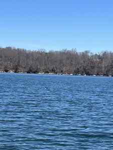 IMG_1240.jpeg