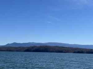 IMG_1249.jpeg