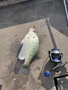 IMG_1590.jpeg