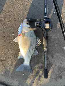 IMG_1591.jpeg