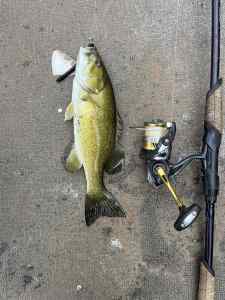 IMG_1619.jpeg