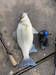 IMG_1623.jpeg