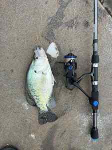 IMG_1624.jpeg