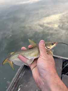 IMG_1625.jpeg