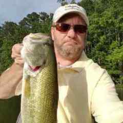 Don Harris