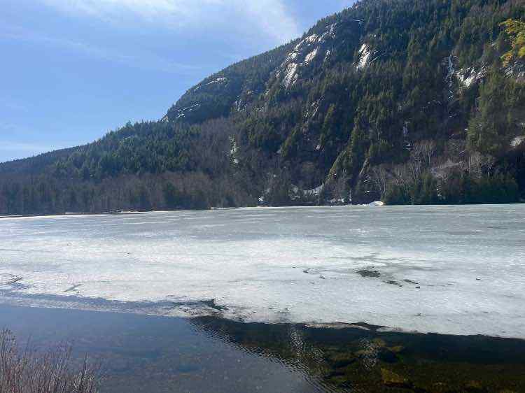 IMG_1902-compressed.jpeg.8a3ba98366ffd7e013c90c068651707c.jpeg