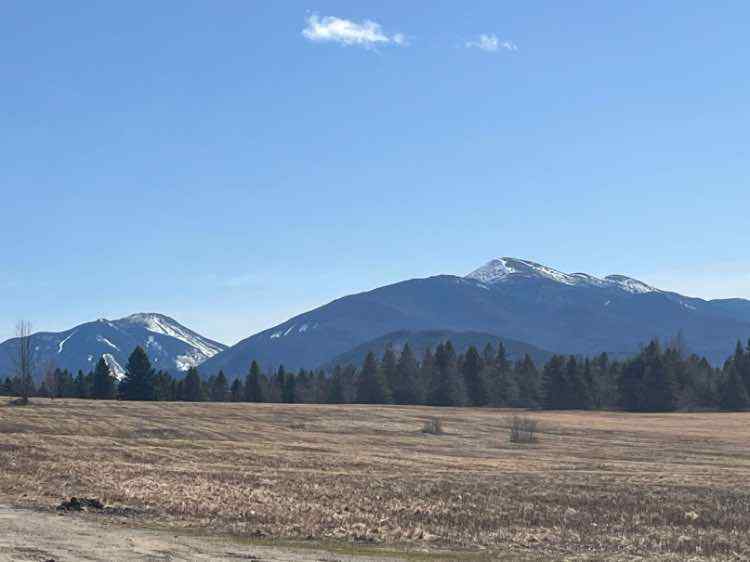 IMG_1909-compressed.jpeg.ca785304d63a431f850f6668b7d1eec1.jpeg