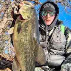 MassBass