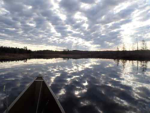 P4250001.JPG.3ae15a58125ac902c634298812e9749c.JPG