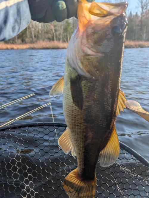 PXL_20250428_210822133.jpg.861bccad1611ef39e29618c134ef5a43.jpg