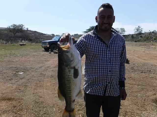 bass.JPG.ec100f5bc3a42125a3c200ba204b4a7f.JPG