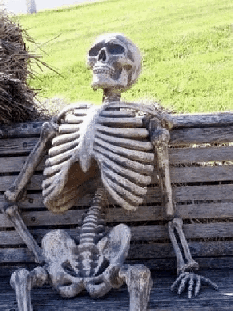 caveira-skeleton.gif.03c22112e43036ffbc8b3b695d63b464.gif
