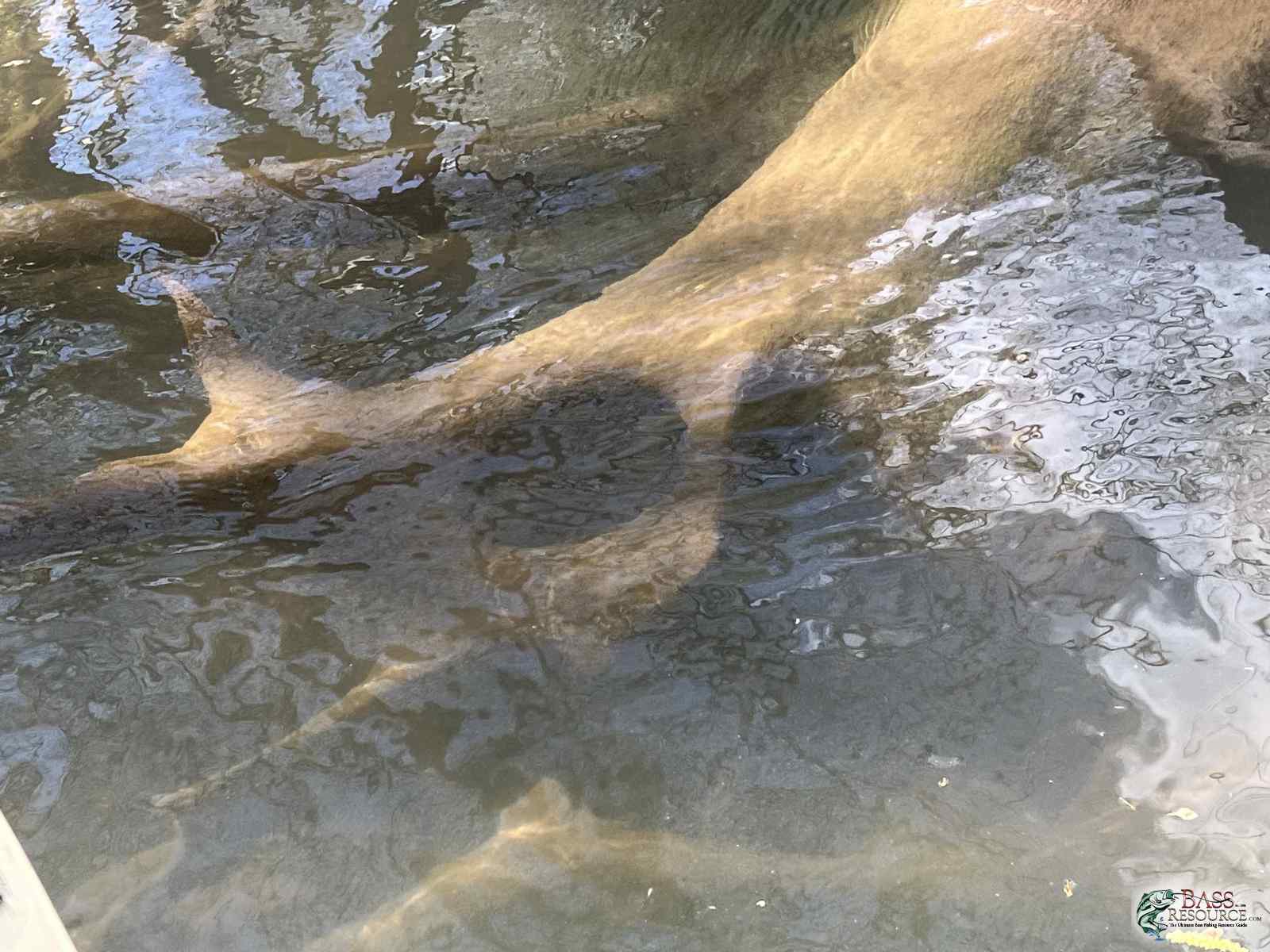 large.IMG_1722.jpeg