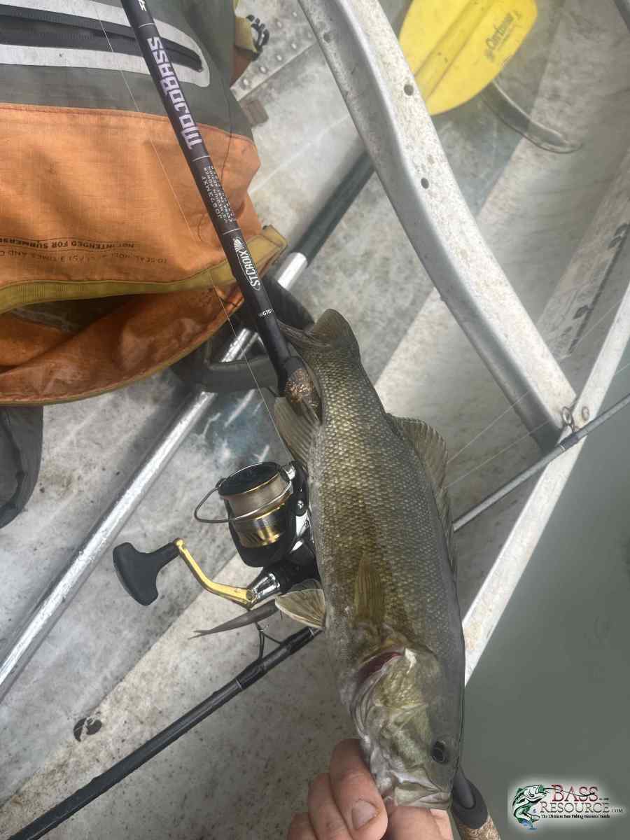 large.IMG_1808.jpeg