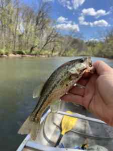 IMG_1723.jpeg