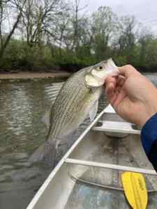 IMG_1803.jpeg
