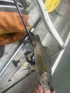 IMG_1808.jpeg