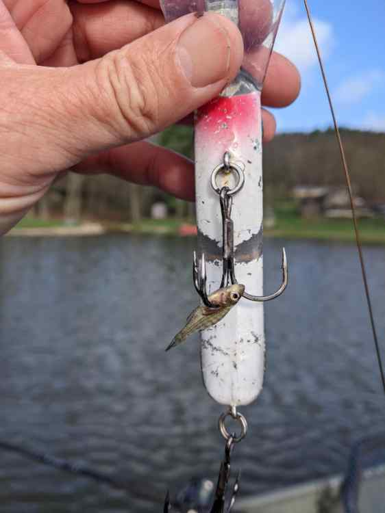 thumbnail(3).jpeg.c934eb450663f98d58f84e53f1be321e.jpeg
