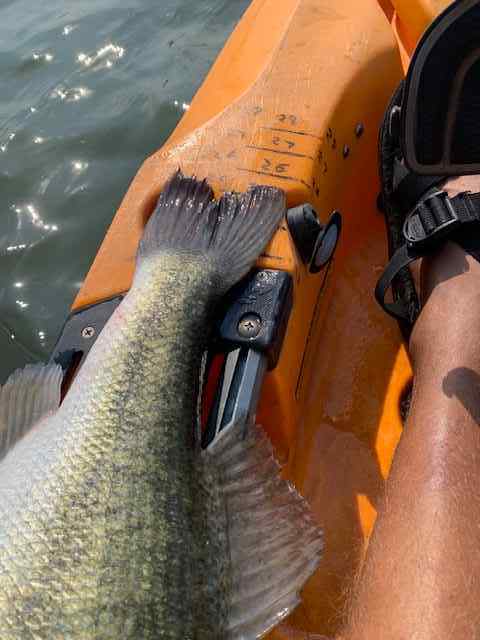 25inch9poundbassMay212025.jpg.4e3eb0ef2236ada32370af21ac2d8a2e.jpg