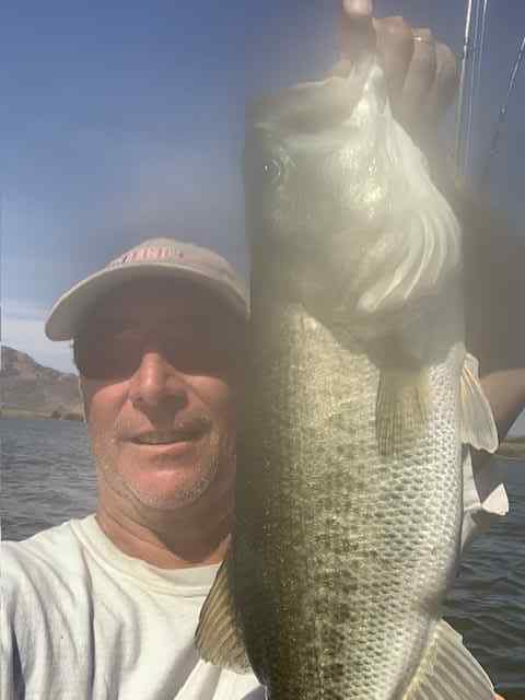 5.5poundbassMay22025.jpg.9c8ac63a802e5778e28af8cbec5cea21.jpg
