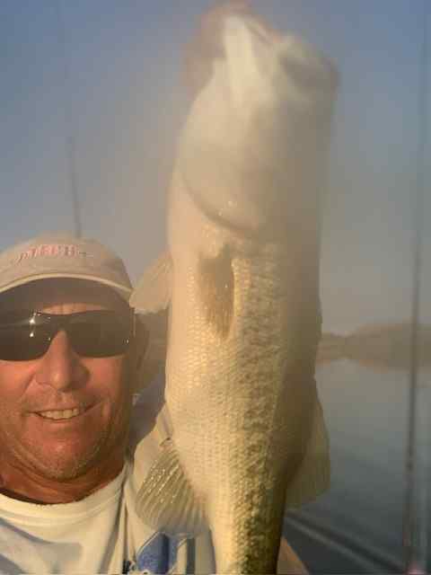 6.5poundbassMay222025.jpg.02a627a38afd0c24e6ef458ee4de4f24.jpg