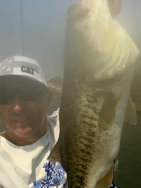 8.4poundbassMay212025.jpg.b173a04d4bef09da4ec9810fe27af0f3.jpg
