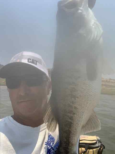 8.6poundbassMay212025.jpg.f8655ea7eda4c34449c76d731b924c7d.jpg