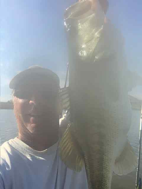 9.5poundbassMay32025.jpg.87299393e1610865da11266d3d4d394a.jpg