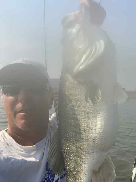 9poundbassMay212025.jpg.865a216482021267856dabc323ade895.jpg