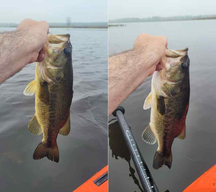 BayouBest.jpg.cb701b7fd9528d5c5961eaf39afc61e6.jpg