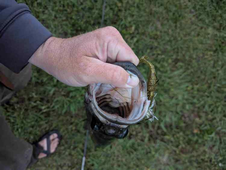 Compress_20250503_215819_9441.jpg.9fd68f3eb82eca7e18d1360b9a6872c3.jpg