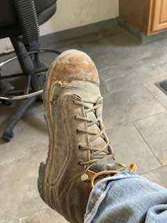 IMG_4545.jpeg.73bf387b311ce1fcd98e9b885a9a7241.jpeg