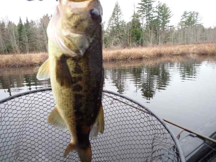 P5030022.JPG.27f299f8824713728a3974ce4646bae2.JPG