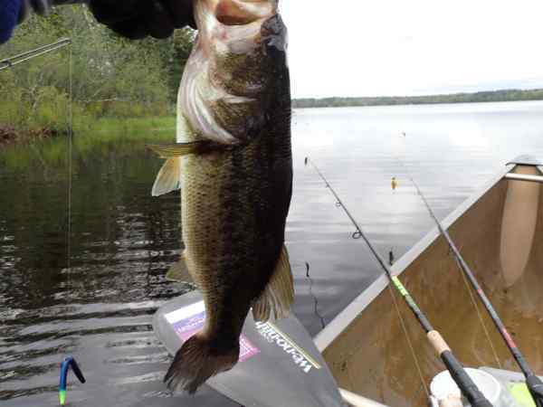 P5210024.JPG.7f51603adbb2ced3652c16a7c134e867.JPG