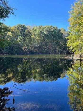 POND-1-400-513.jpg