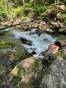 IMG_2236.jpeg