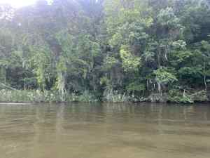 IMG_2485.jpeg
