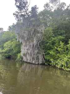 IMG_2488.jpeg