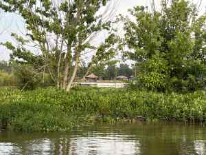 IMG_2489.jpeg
