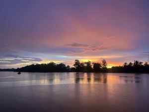 IMG_2495.jpeg