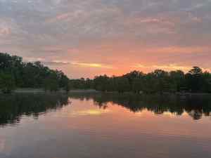 IMG_2500.jpeg
