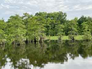 IMG_2505.jpeg