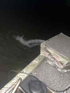 IMG_2517.jpeg
